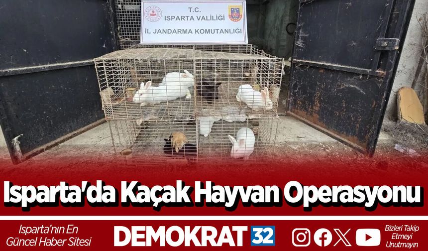 Isparta'da Kaçak Hayvan Operasyonu