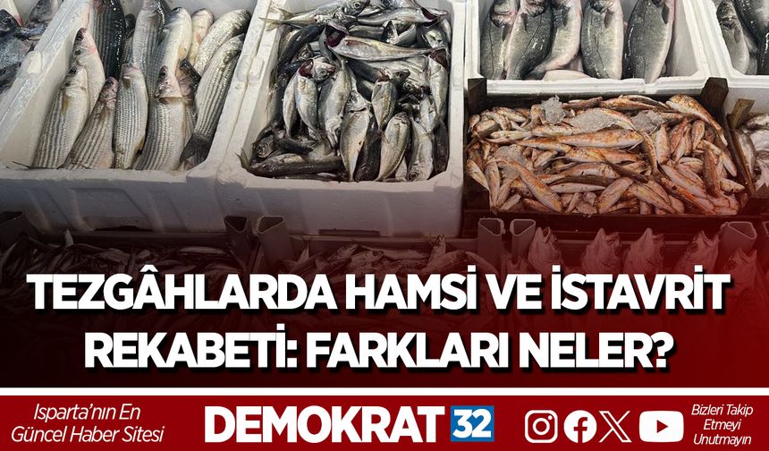 TEZGÂHLARDA HAMSİ VE İSTAVRİT REKABETİ: FARKLARI NELER?