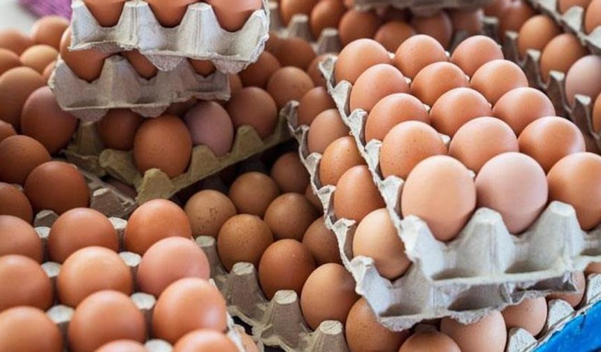 TÜİK, O Rakamları Açıkladı