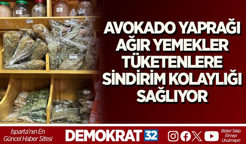 AVOKADO YAPRAĞI AĞIR YEMEKLER TÜKETENLERE SİNDİRİM KOLAYLIĞI SAĞLIYOR