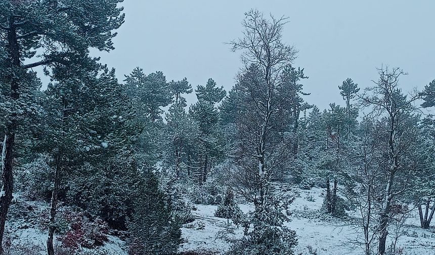 Keçiborlu'da kar sevinci