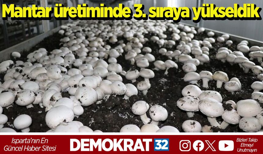 Mantar üretiminde 3. sıraya yükseldik