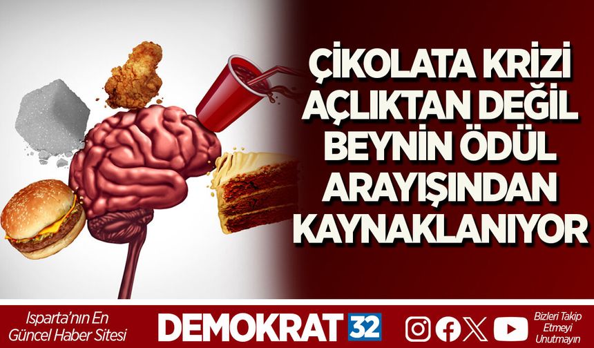ÇİKOLATA KRİZİ AÇLIKTAN DEĞİL, BEYNİN ÖDÜL ARAYIŞINDAN KAYNAKLANIYOR