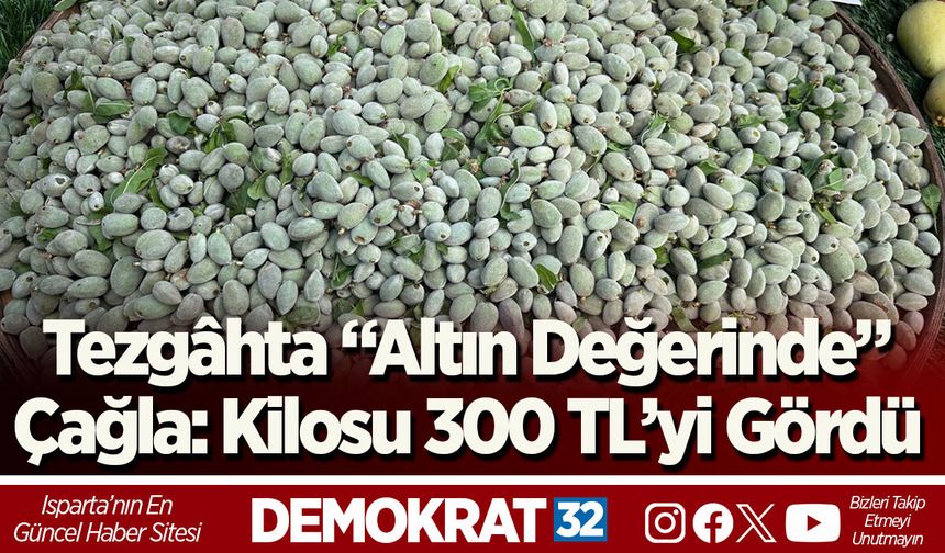 Tezgâhta “Altın Değerinde” Çağla: Kilosu 300 TL’yi Gördü