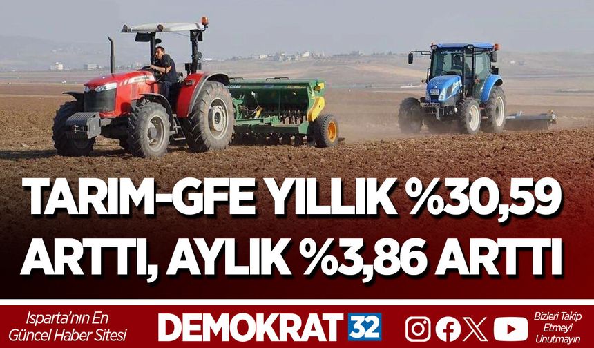 TARIM-GFE YILLIK %30,59 ARTTI, AYLIK %3,86 ARTTI