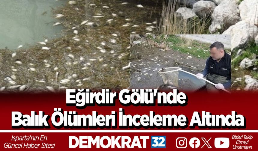 Eğirdir gölü'nde balık ölümleri inceleme altında