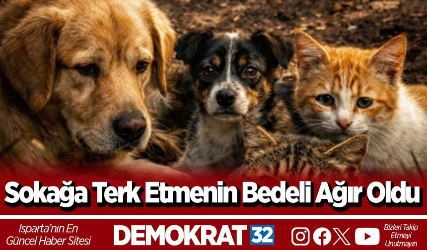 Sokağa Terk Etmenin Bedeli Ağır Oldu