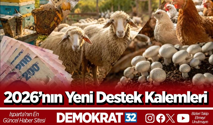 2026’nın Yeni Destek Kalemleri