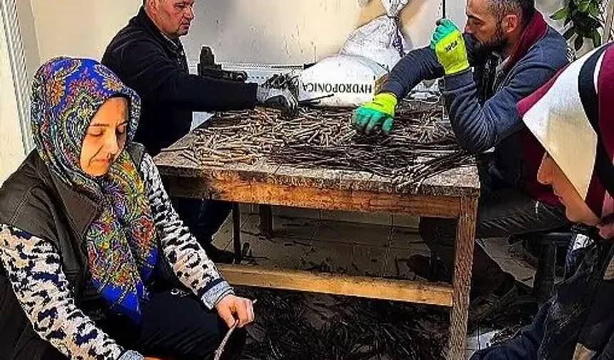 Çelik Ve Fidan Hazırlık Çalışmaları Sürüyor