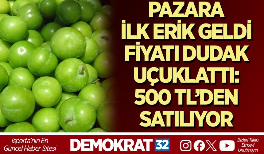 PAZARA İLK ERİK GELDİ, FİYATI DUDAK UÇUKLATTI: 500 TL’DEN SATILIYOR