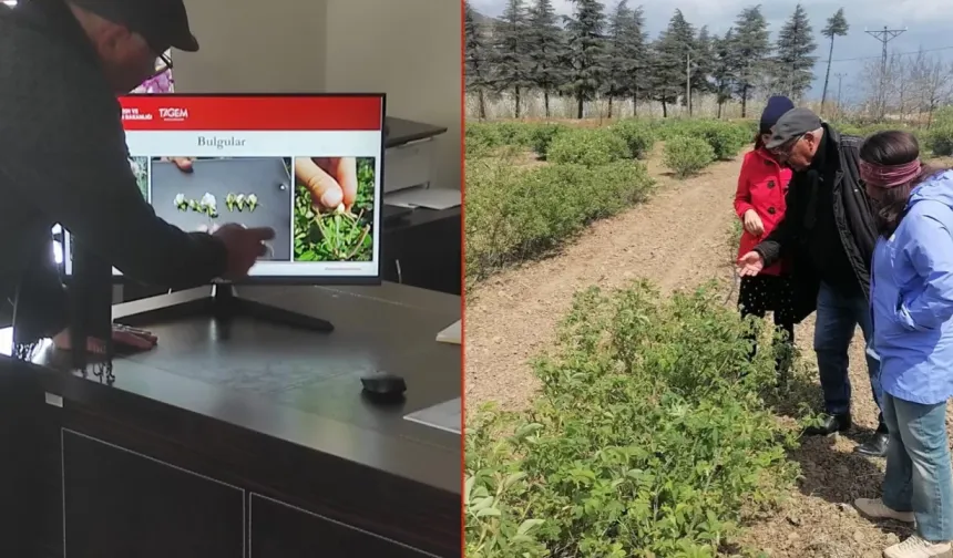 ALMAN UÇUCU YAĞ DEVİNDEN ISPARTA’YA "GÜL" ÇIKARMASI!