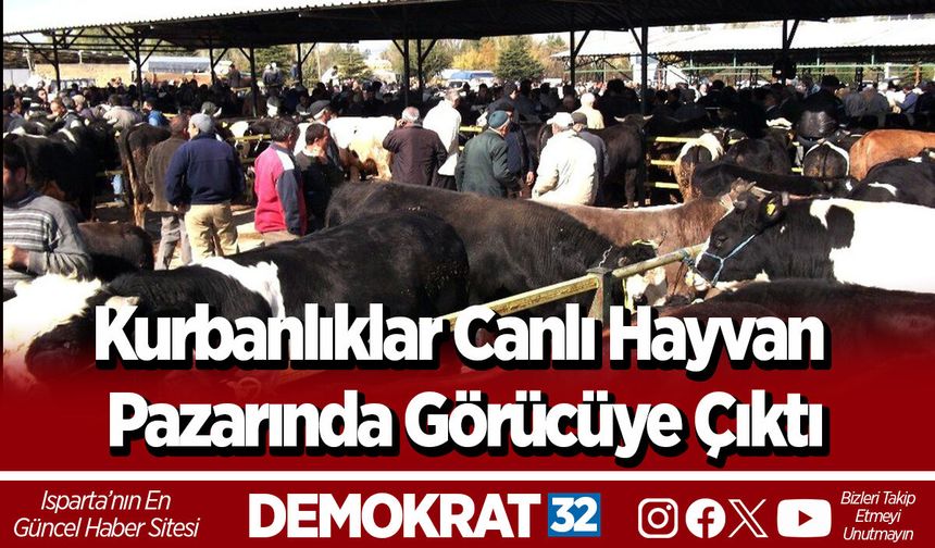Kurbanlıklar Canlı Hayvan Pazarında Görücüye Çıktı