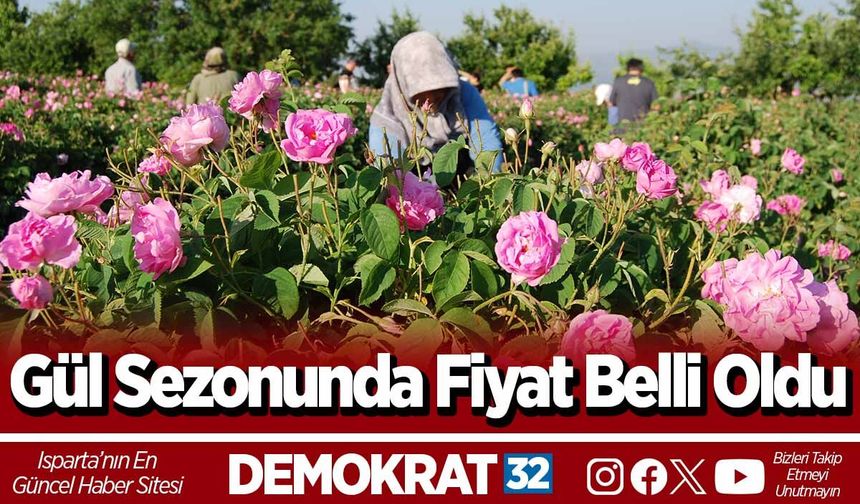 Gül Sezonunda Fiyat Belli Oldu