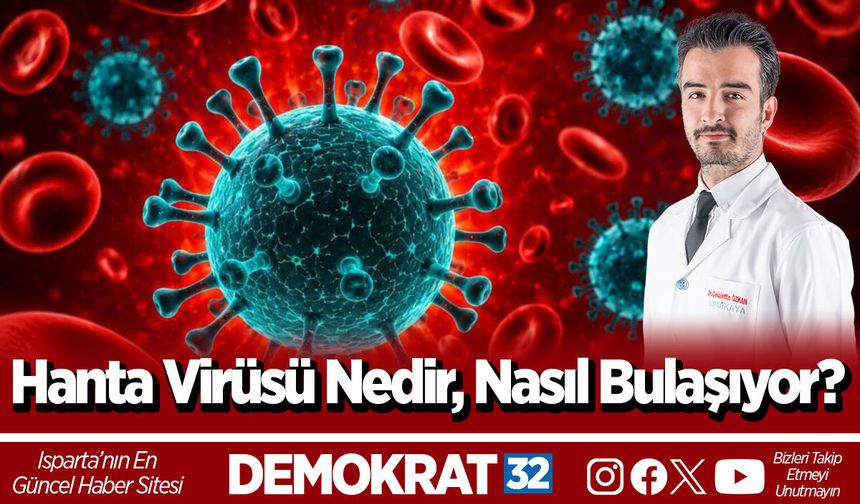 “Hanta Virüsü Nedir, Nasıl Bulaşıyor?