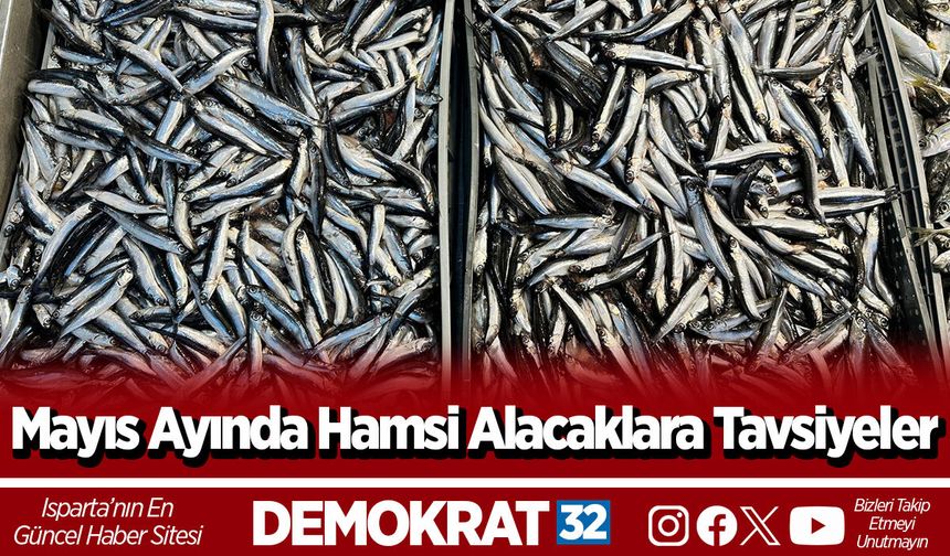 Mayıs Ayında Hamsi Alacaklara Tavsiyeler