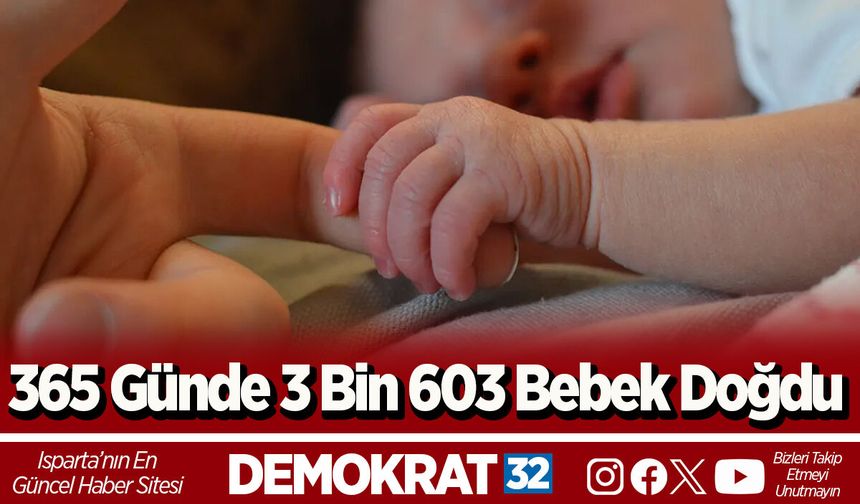 365 Günde 3 Bin 603 Bebek Doğdu