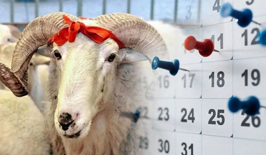 Kurban Bayramı Tatili 9 Güne Çıkarıldı