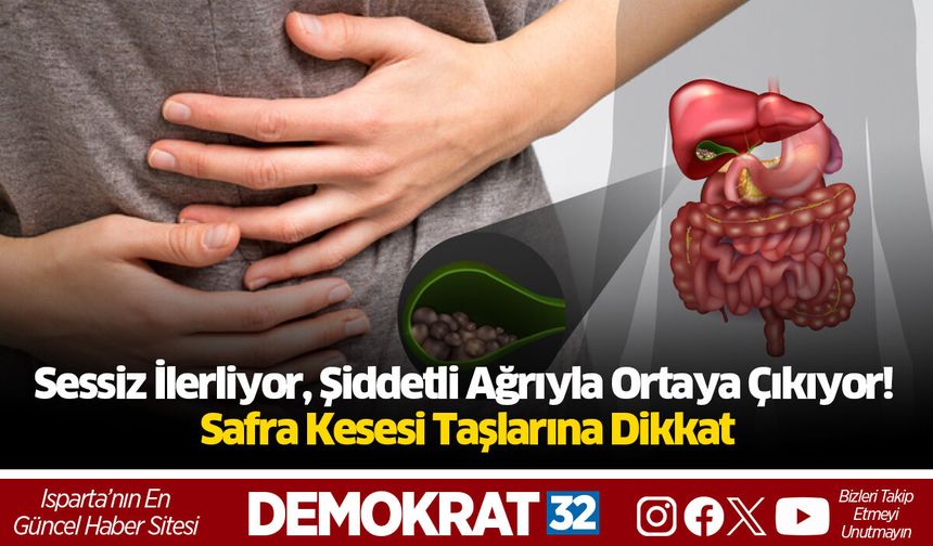 Sessiz İlerliyor, Şiddetli Ağrıyla Ortaya Çıkıyor! Safra Kesesi Taşlarına Dikkat