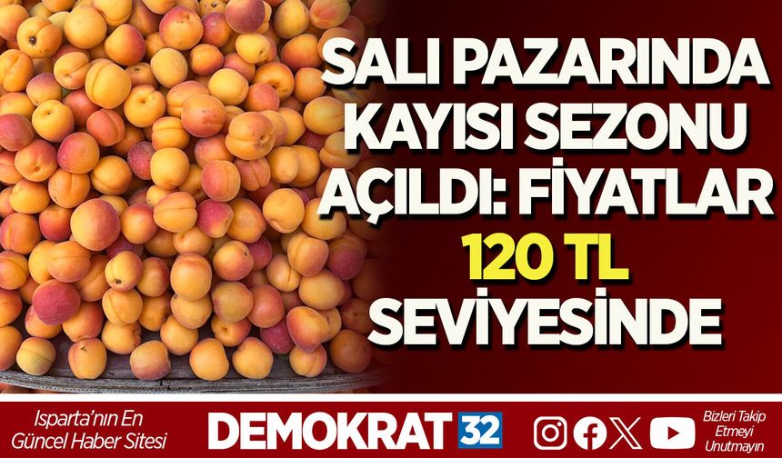 SALI PAZARINDA KAYISI SEZONU AÇILDI: FİYATLAR 120 TL SEVİYESİNDE