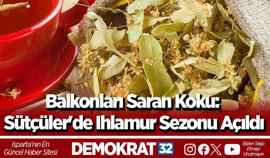 Balkonları Saran Koku: Sütçüler'de Ihlamur Sezonu Açıldı