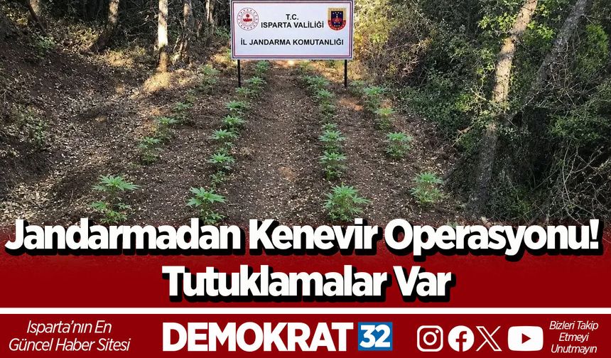 Jandarmadan Kenevir Operasyonu! Tutuklamalar Var