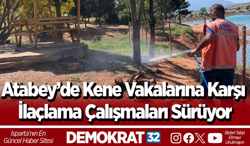 Atabey’de Kene Vakalarına Karşı İlaçlama Çalışmaları Sürüyor