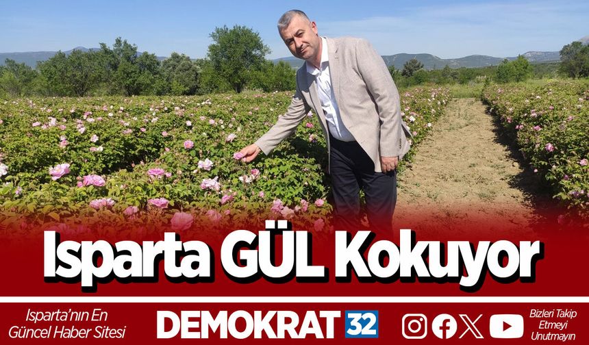 Isparta GÜL Kokuyor