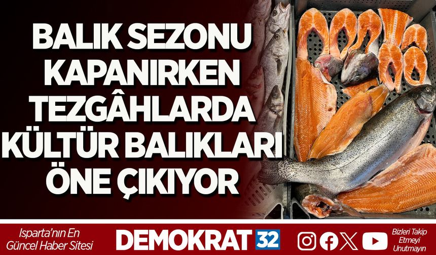 BALIK SEZONU KAPANIRKEN TEZGÂHLARDA KÜLTÜR BALIKLARI ÖNE ÇIKIYOR