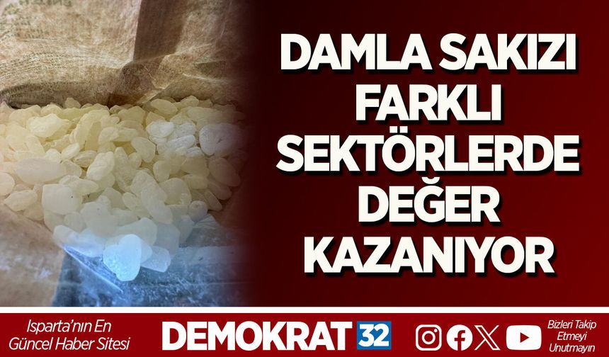 DAMLA SAKIZI FARKLI SEKTÖRLERDE DEĞER KAZANIYOR