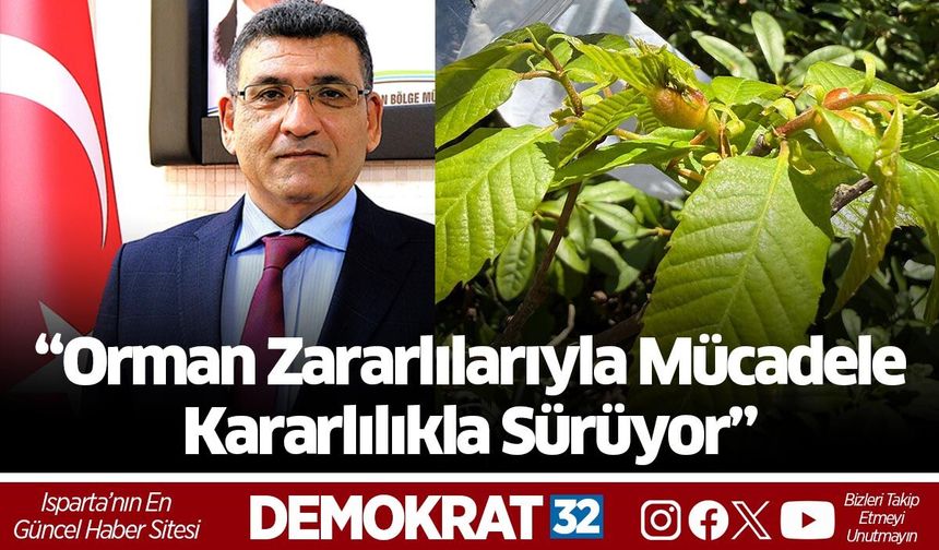 “Orman Zararlılarıyla Mücadele Kararlılıkla Sürüyor”