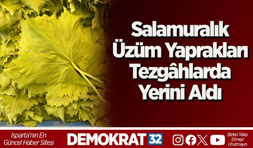 Salamuralık Üzüm Yaprakları Tezgâhlarda Yerini Aldı