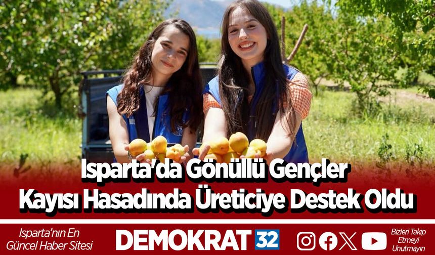 Isparta'da Gönüllü Gençler Kayısı Hasadında Üreticiye Destek Oldu