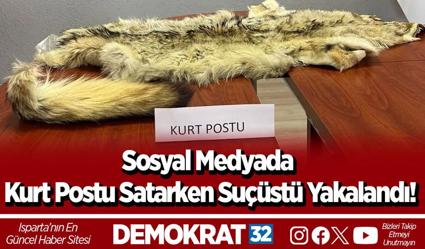 Sosyal Medyada Kurt Postu Satarken Suçüstü Yakalandı!