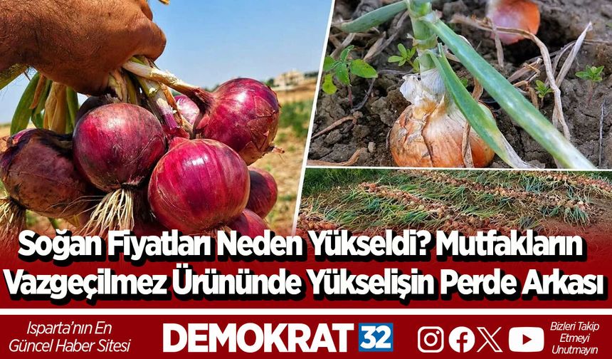 Soğan Fiyatları Neden Yükseldi? Mutfakların Vazgeçilmez Ürününde Yükselişin Perde Arkası