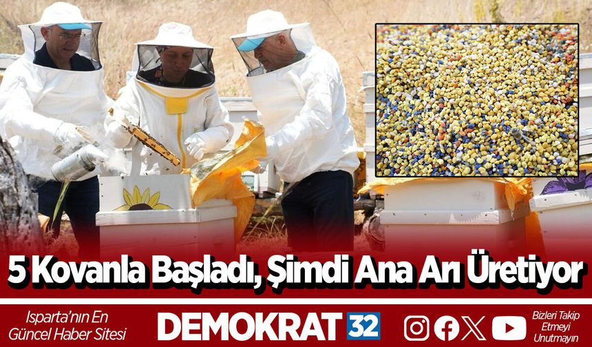 5 Kovanla Başladı, Şimdi Ana Arı Üretiyor