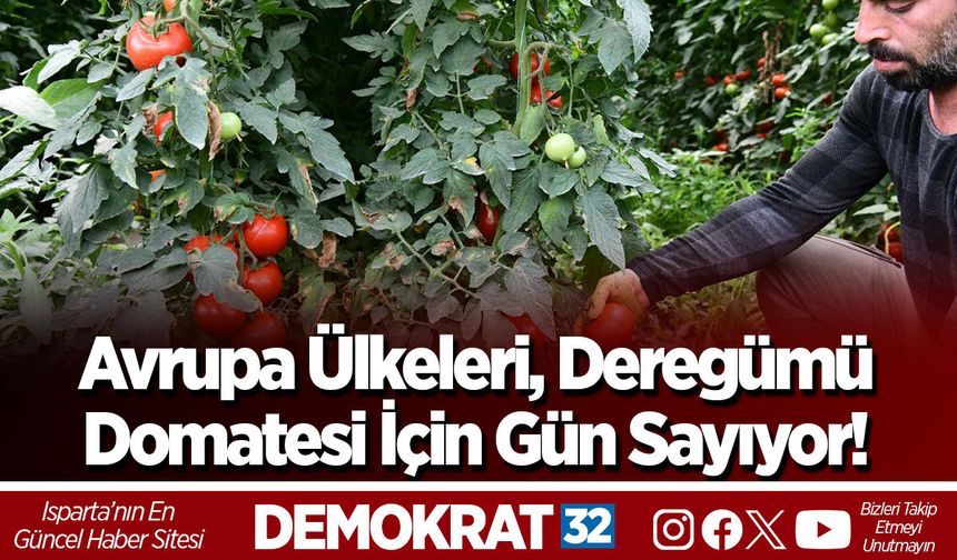 Avrupa Ülkeleri, Deregümü Domatesi İçin Gün Sayıyor!