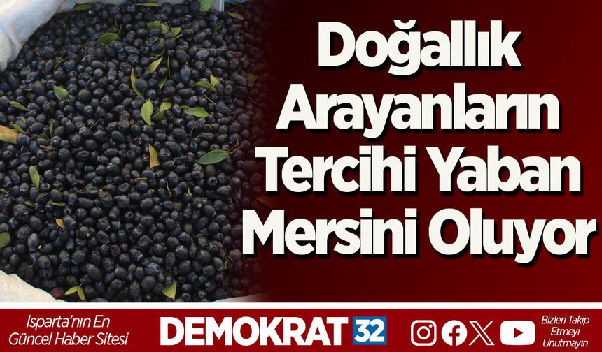 Doğallık Arayanların Tercihi Yaban Mersini Oluyor