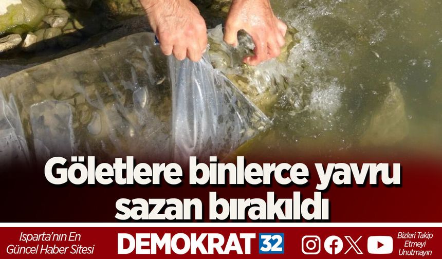 Göletlere binlerce yavru sazan bırakıldı