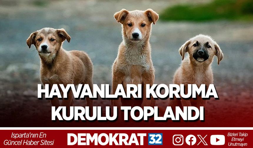 Hayvanları Koruma Kurulu Toplandı