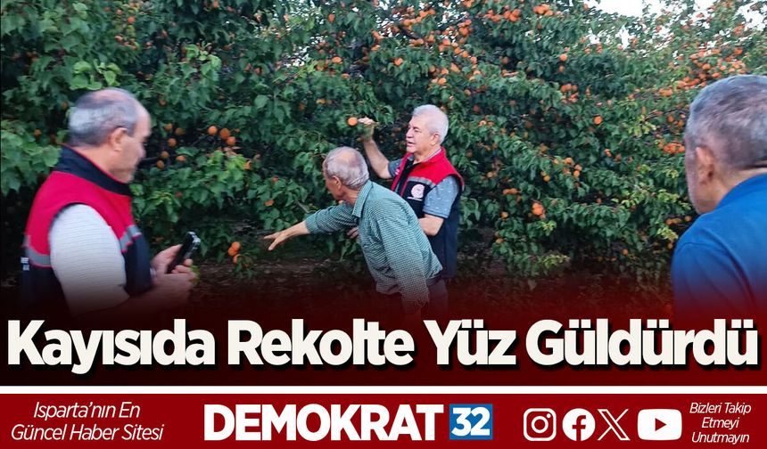 Kayısıda Rekolte Yüz Güldürdü