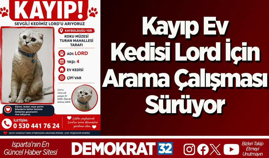 Kayıp Ev Kedisi Lord İçin Arama Çalışması Sürüyor