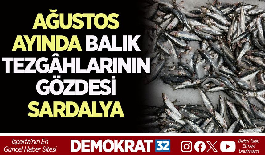 AĞUSTOS AYINDA BALIK TEZGÂHLARININ GÖZDESİ SARDALYA
