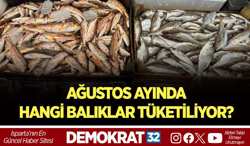 AĞUSTOS AYINDA HANGİ BALIKLAR TÜKETİLİYOR?