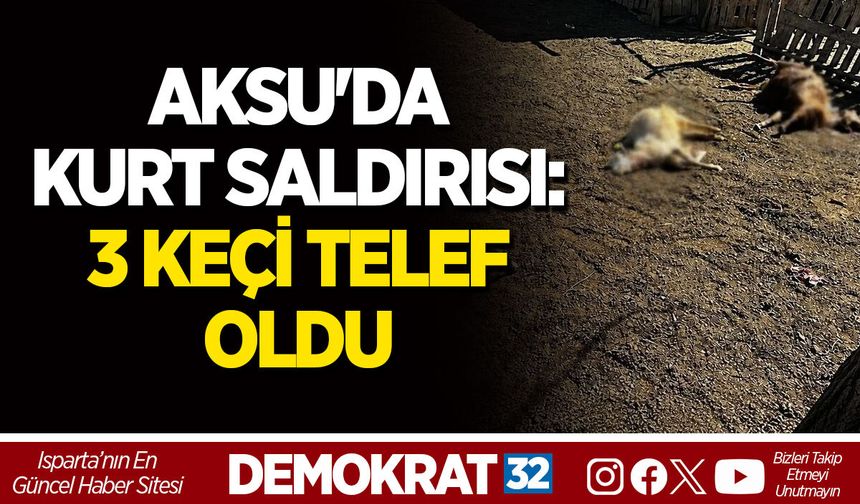 AKSU'DA KURT SALDIRISI: 3 KEÇİ TELEF OLDU