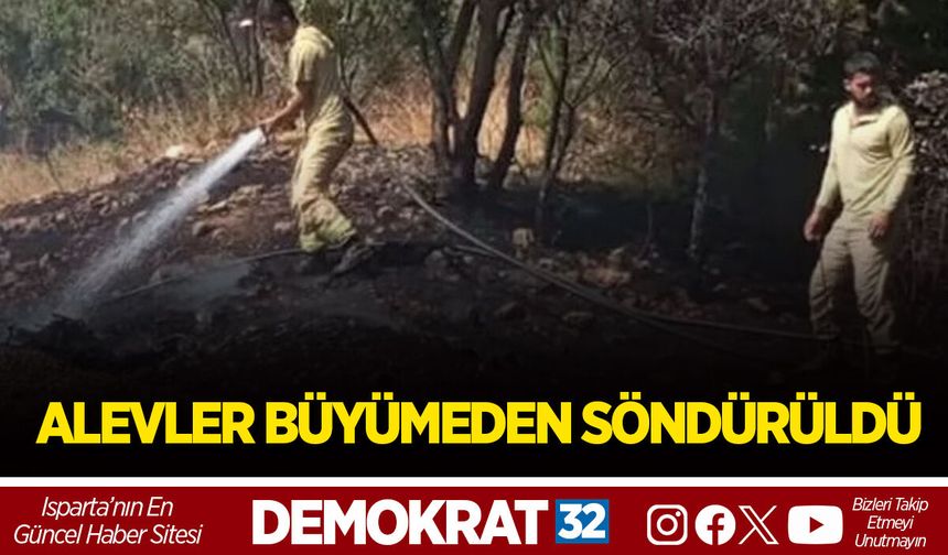 ALEVLER BÜYÜMEDEN SÖNDÜRÜLDÜ