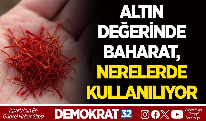 ALTIN DEĞERİNDE BAHARAT, NERELERDE KULLANILIYOR?