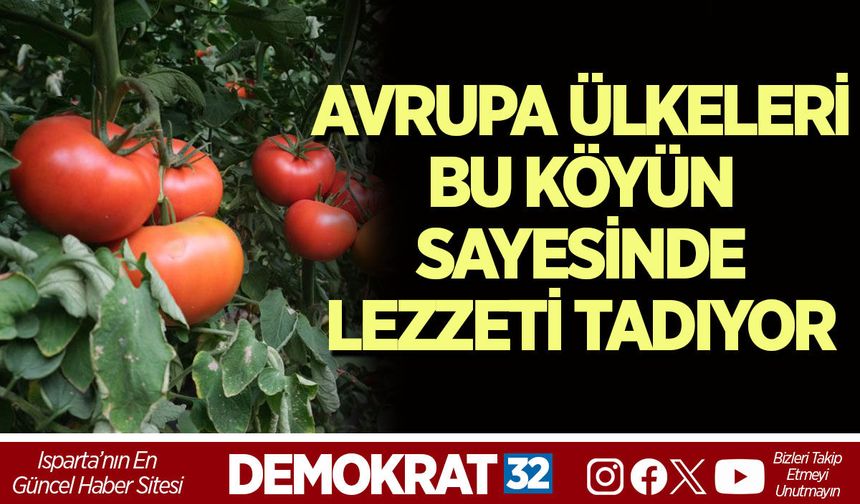 AVRUPA ÜLKELERİ BU KÖYÜN SAYESİNDE LEZZETİ TADIYOR