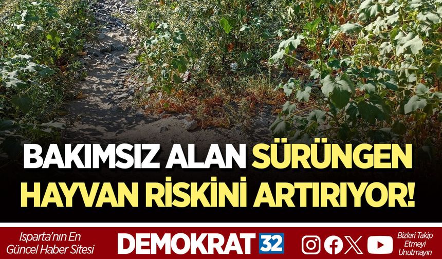 BAKIMSIZ ALAN SÜRÜNGEN HAYVAN RİSKİNİ ARTIRIYOR!