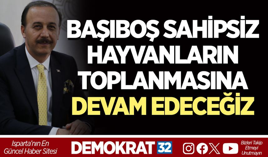 BAŞIBOŞ SAHİPSİZ HAYVANLARIN TOPLANMASINA DEVAM EDECEĞİZ