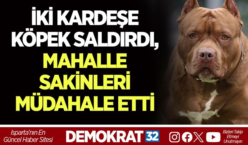 İKİ KARDEŞE KÖPEK SALDIRDI, MAHALLE SAKİNLERİ MÜDAHALE ETTİ